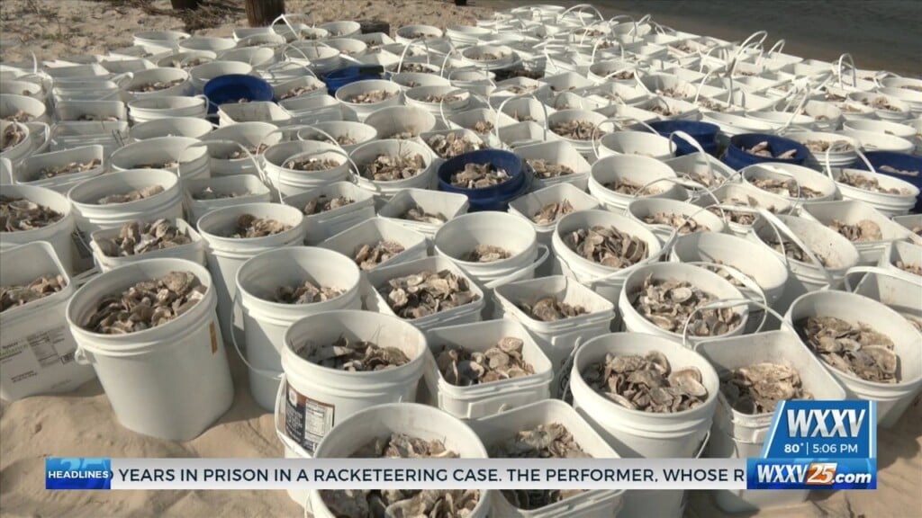 The Nature Conservancy Teams Up With Beau Rivage And Mgm Resorts For Oyster Shell Recycling Place
