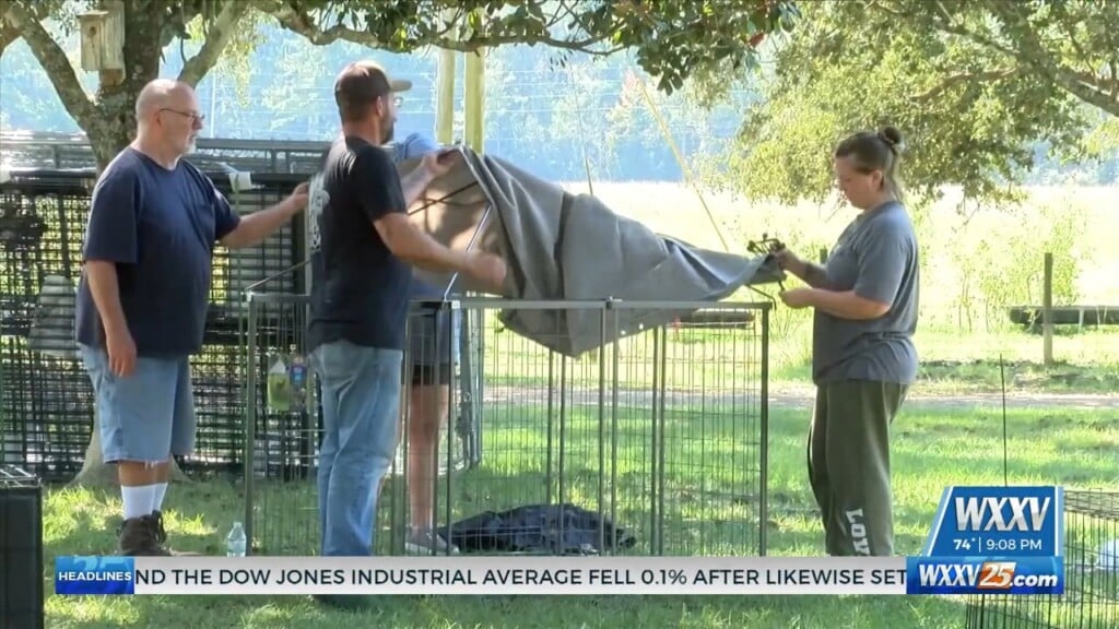 Local Business Providing Shelter For Milton Evacuees And Their Pets
