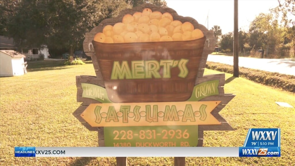 Wxxv Stops By Mert’s Satsumas In Gulfport