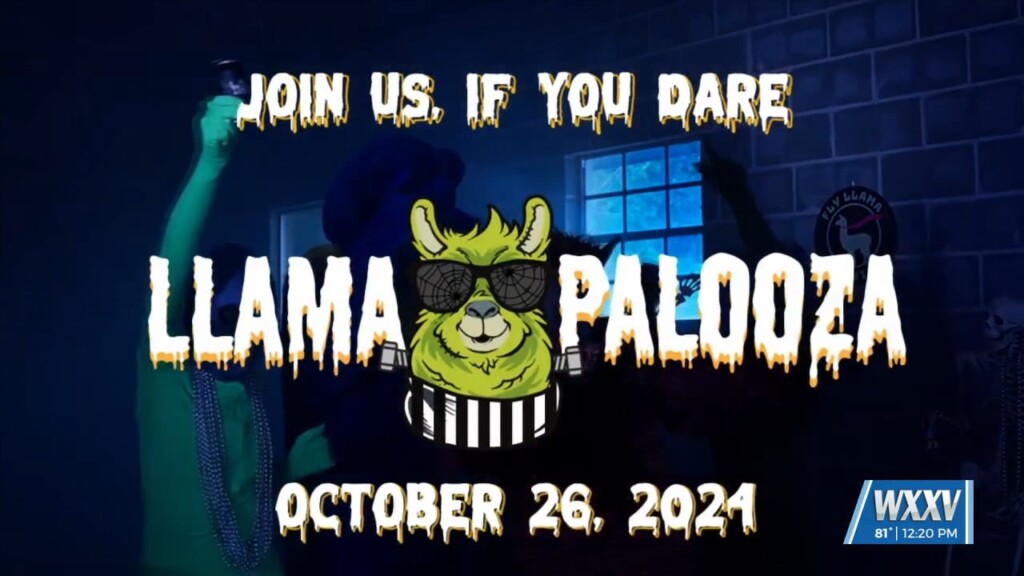 Fly Llama Brewing Holds Annual Llamapalooza