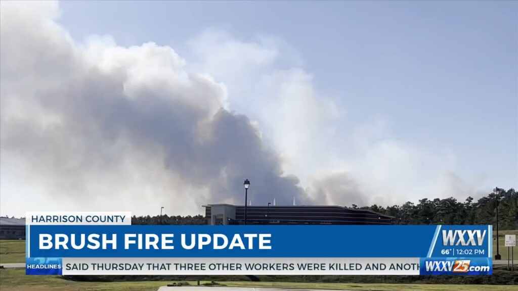 Wxxv News 25’s Austin Lindsey Speaks With Ms Forestry Commission On Brush Fire In Harrison County