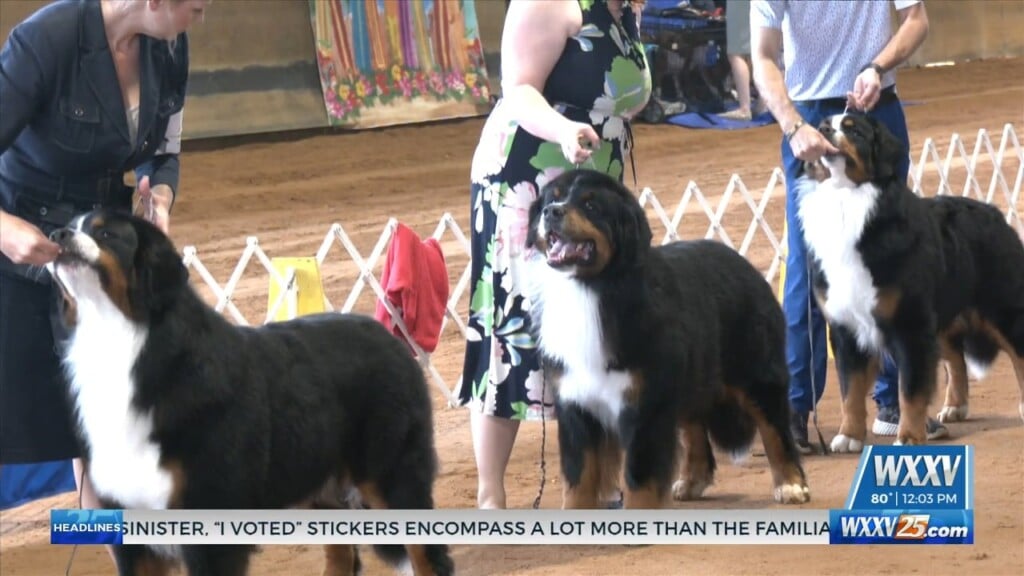 Mississippi Gulf Coast Kennel Club Hosting Mardi Paw Dog Show