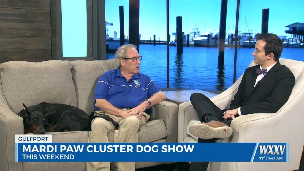 Mardi Paw Cluster Dog Show