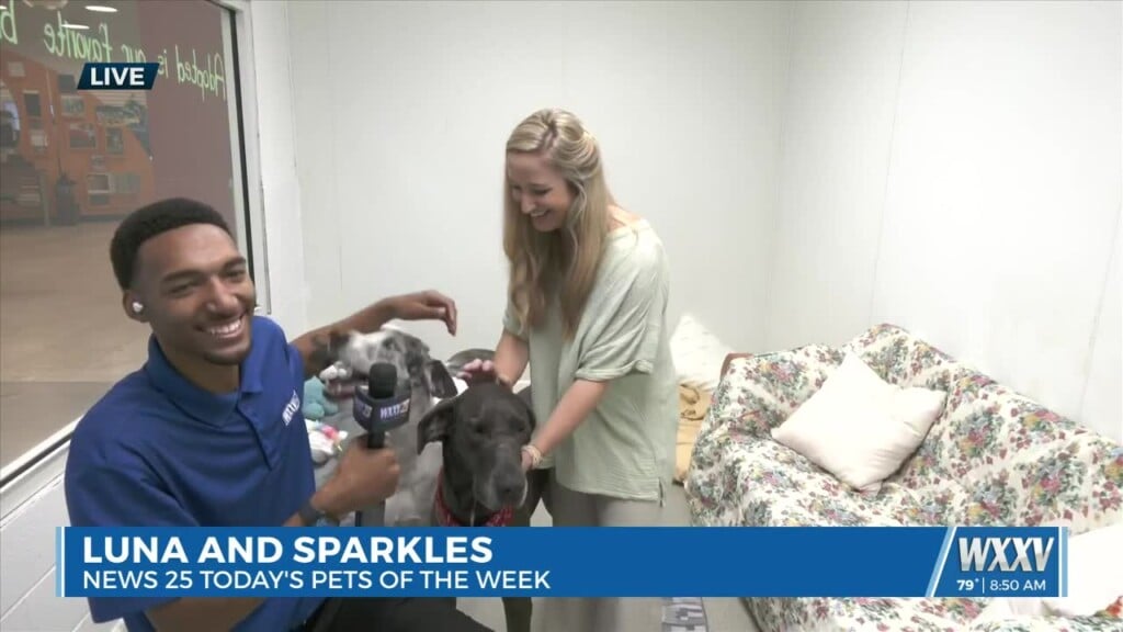 Adopt A Senior Pet Month