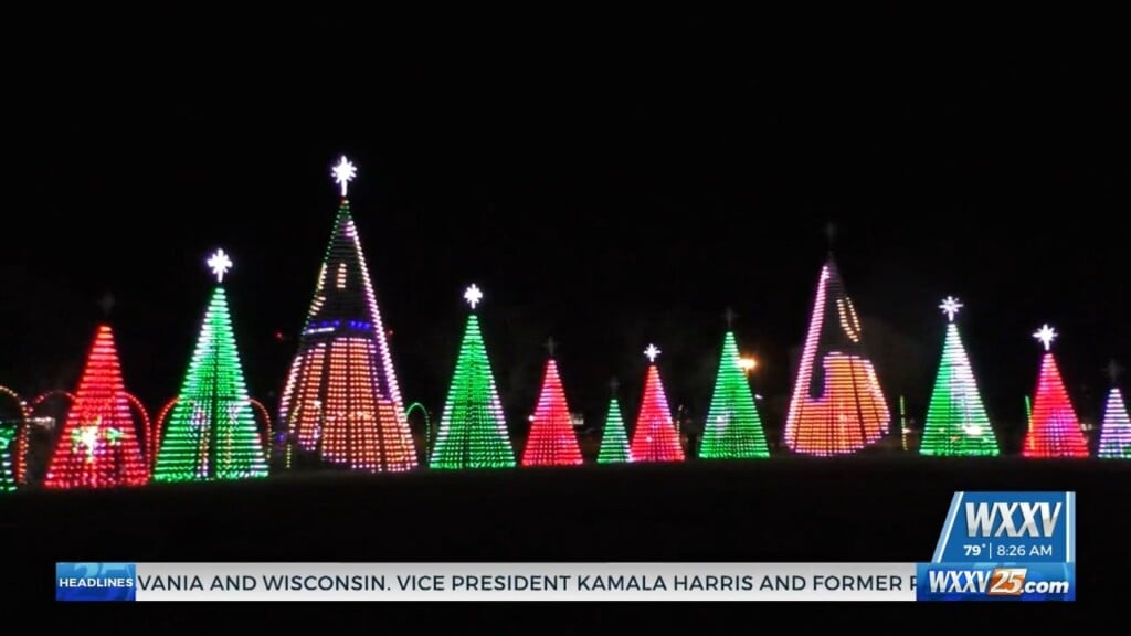 Meggan Monday: Building The Gulfport Harbor Lights Festival