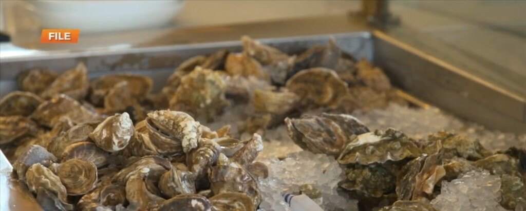Oyster Season Begins In Mississippi