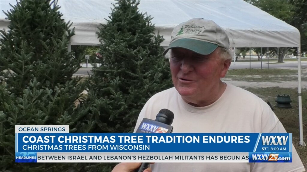 Wisconsin Man Travels To Coast Each Year To Sell Christmas Trees
