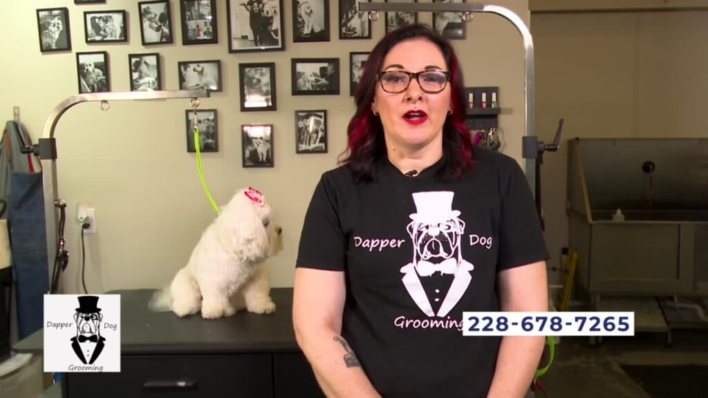 Chamber Member Spotlight Dapper Dog Grooming