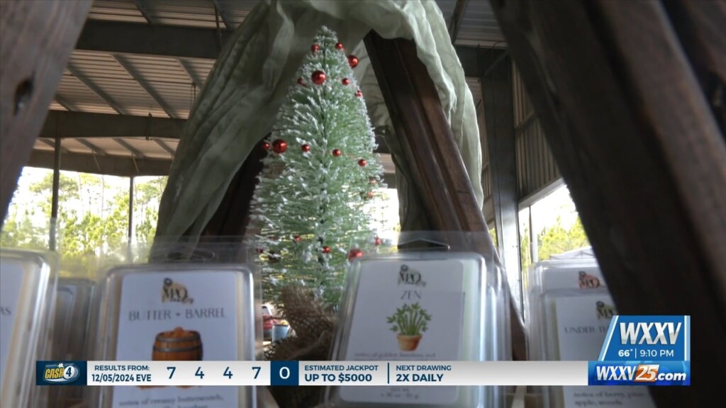 Vancleave Holds Small Town Christmas Festivities