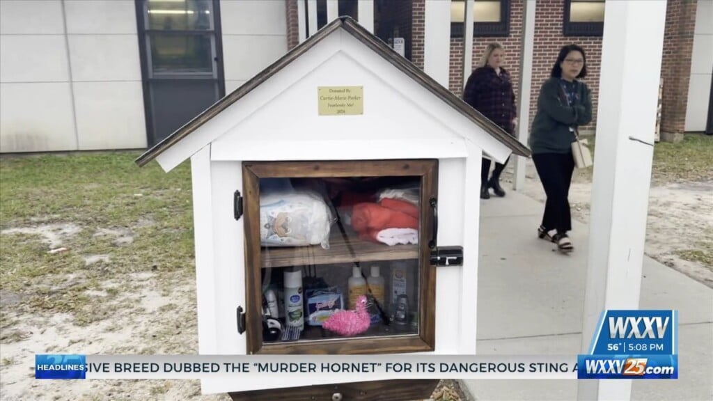 Woolmarket Elementary Student Builds Blessing Box For The Community