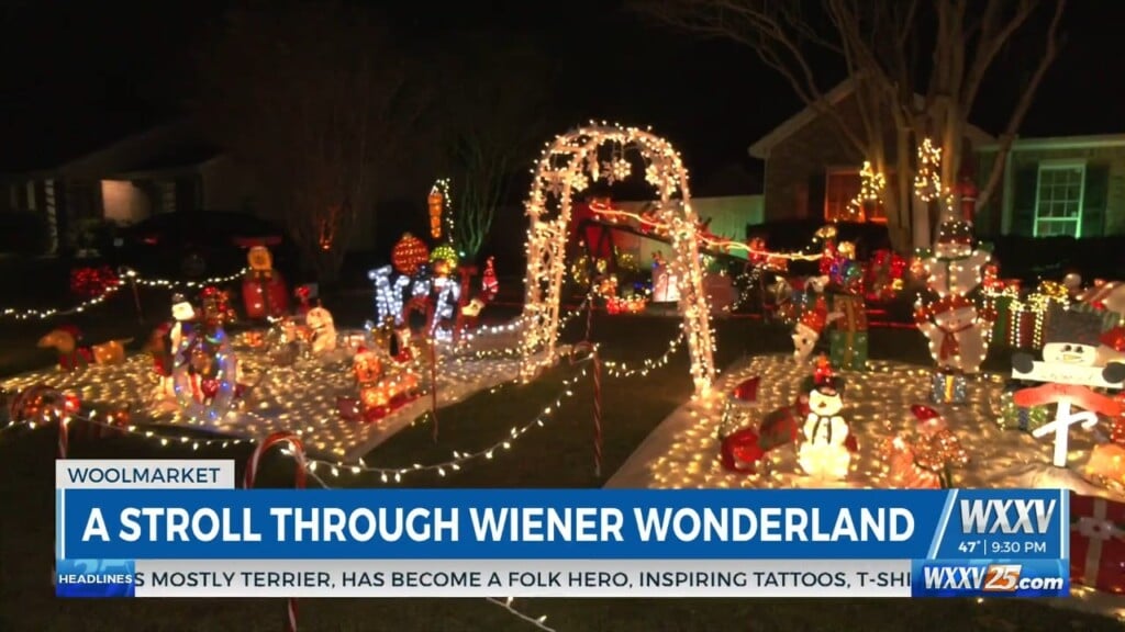 A Stroll Through Wiener Wonerland