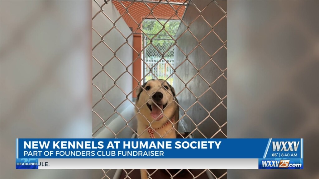 New Kennels At Humane Society Of South Mississippi