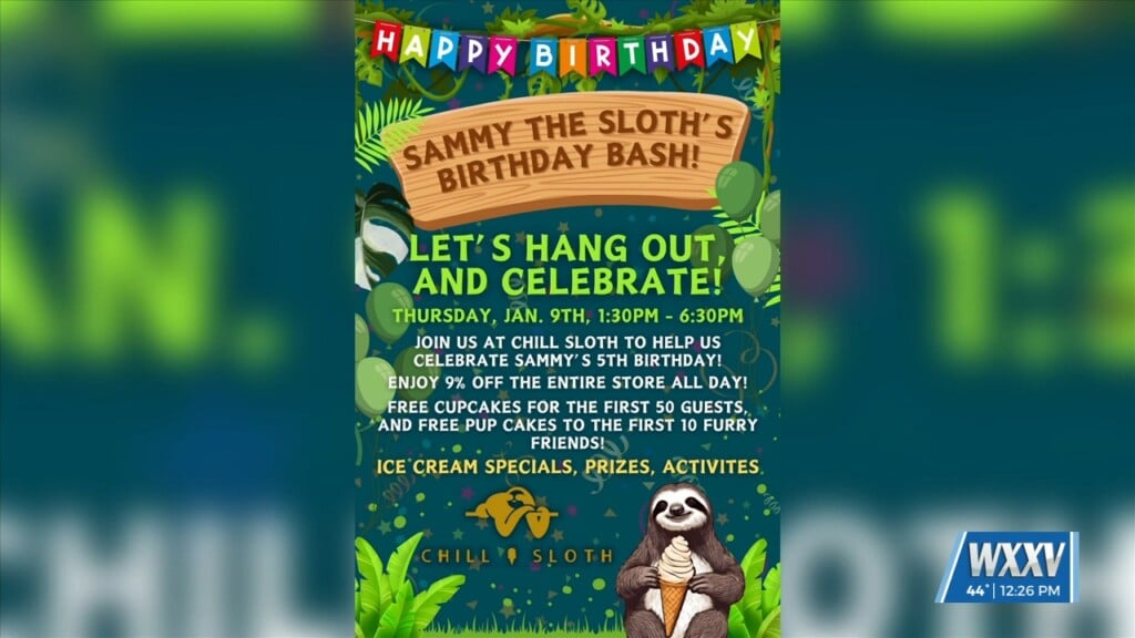 Celebrating Sammy The Sloth’s 5th Birthday