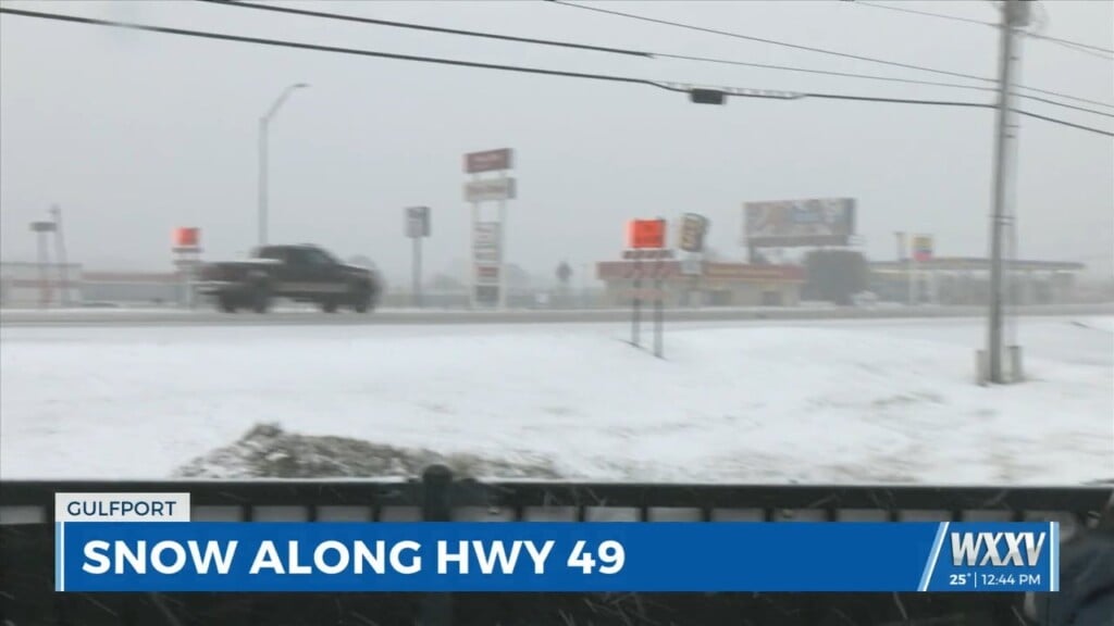 Snow Along Highway 49 In Gulfport