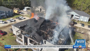 Apartment Fire