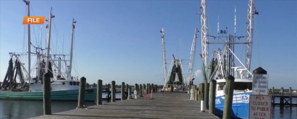 Usda Funds Earmarked For Gulf Shrimp