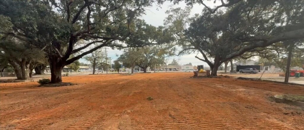 Biloxi City Council Denies Appeal Of Tree Removal Concerning The Chick Fil A Site