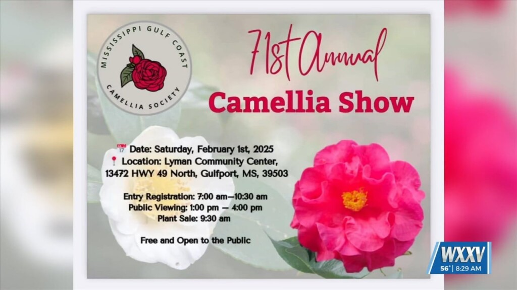 71st Annual Camellia Show