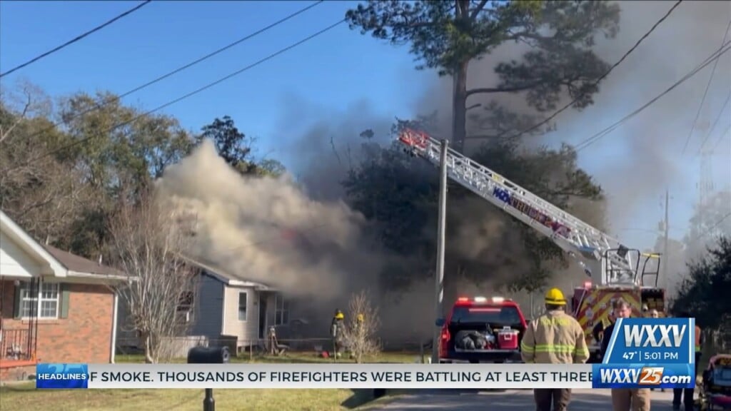 Dog Killed In House Fire Along Creel Circle In Gulfport