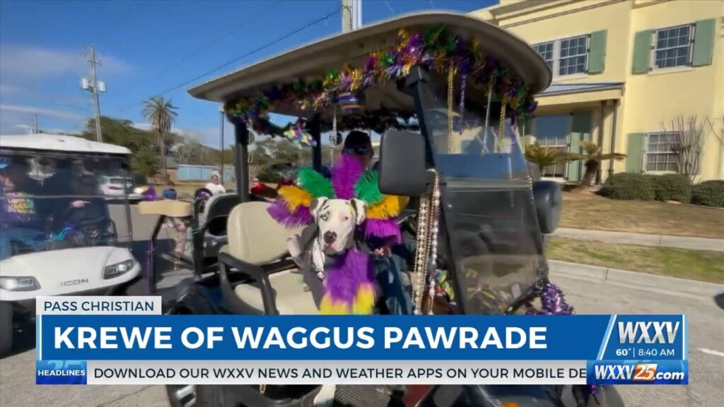 Krewe Of Waggus Pawrade Rolls Through Pass Christian