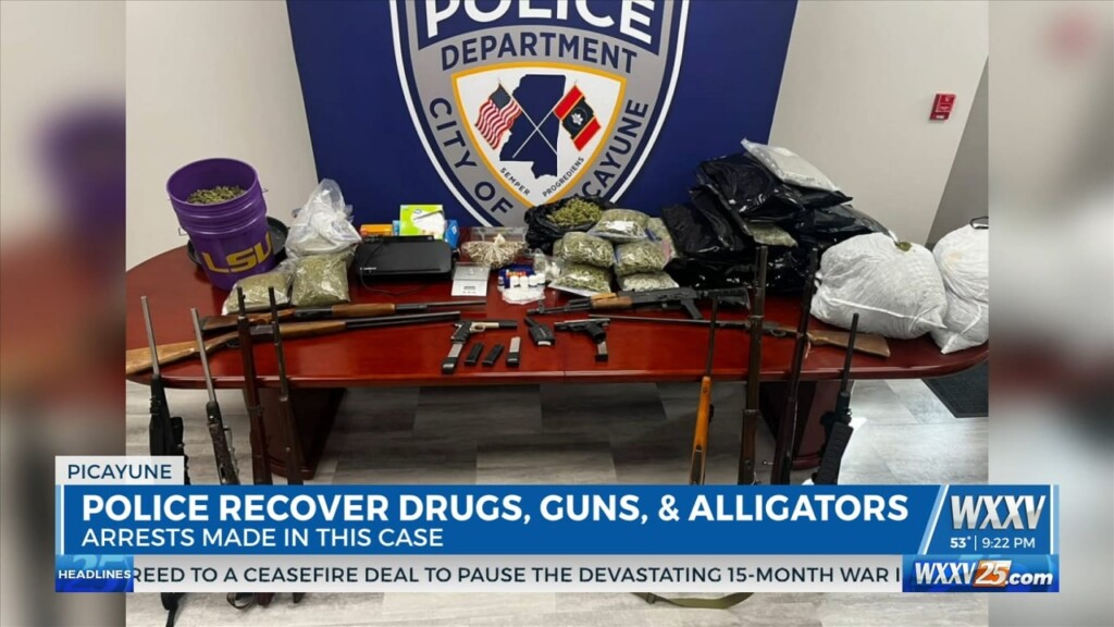 Police Recover Guns, Drugs, And Gators At Picayune Home