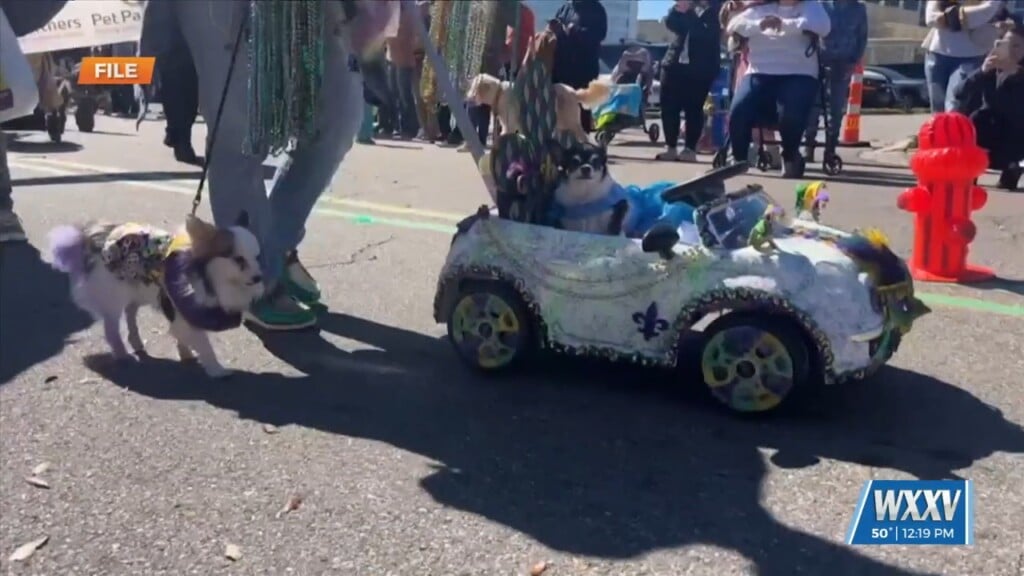 Krewe Of Barkloxi Rolls Through Biloxi