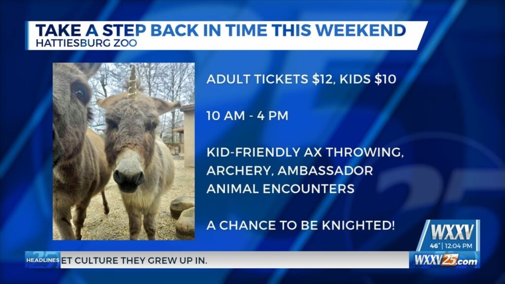 Hattiesburg Zoo Hosting A Renaissance Festival This Weekend