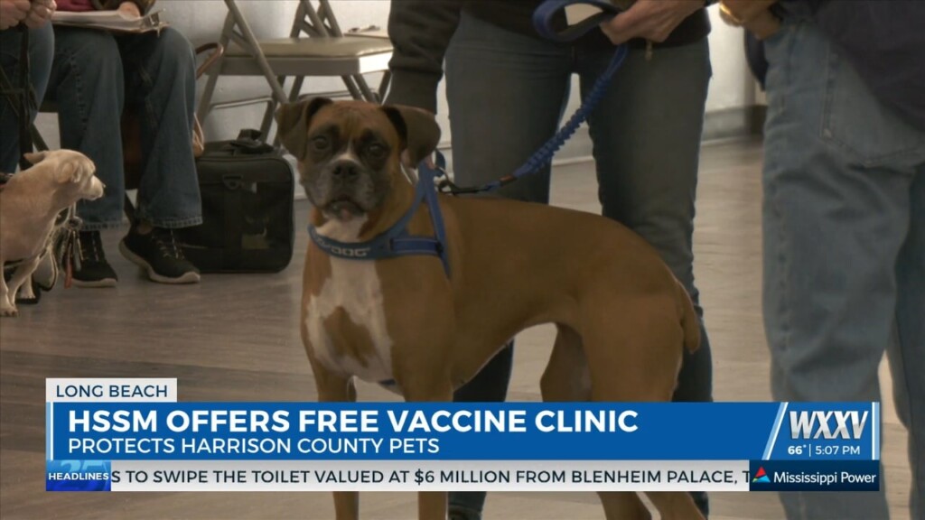 Humane Society Of South Ms Offers Free Vaccine Clinic