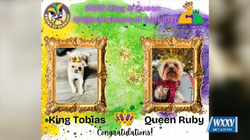 King And Queen Of The Krewe Of Barkloxi Announced
