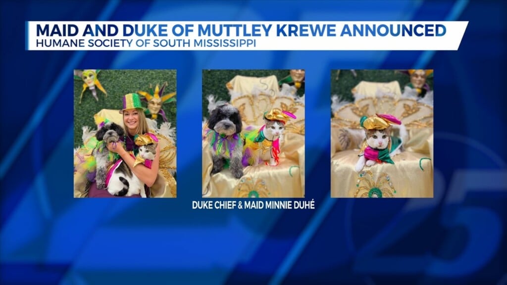 Maid And Duke Announced For Muttley Krewe