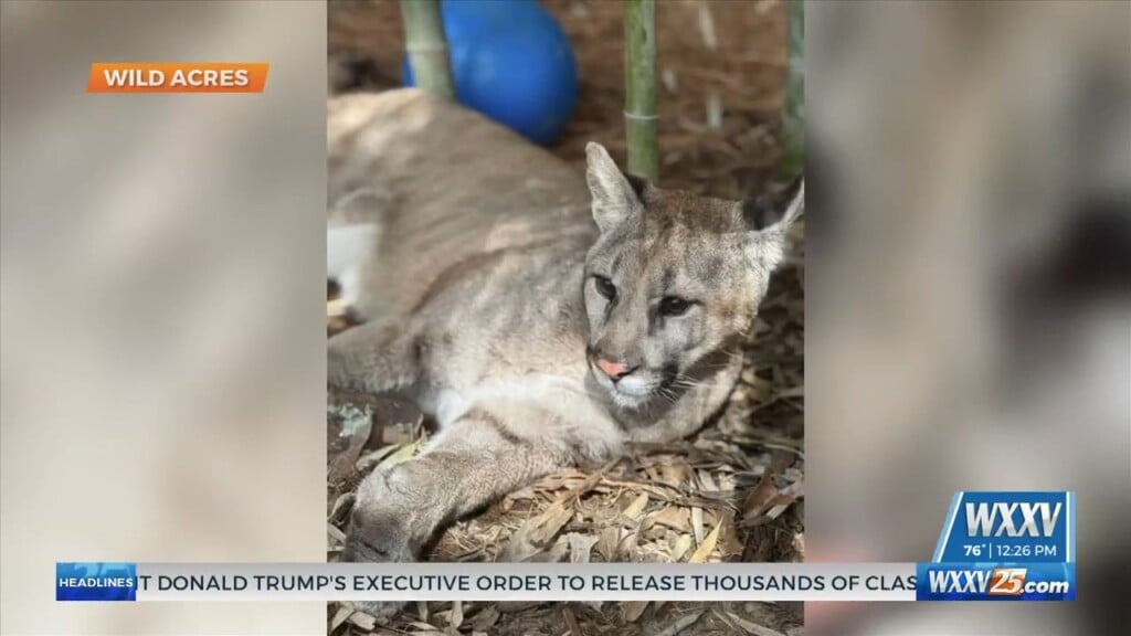 Wild Acres Introduces A New Resident
