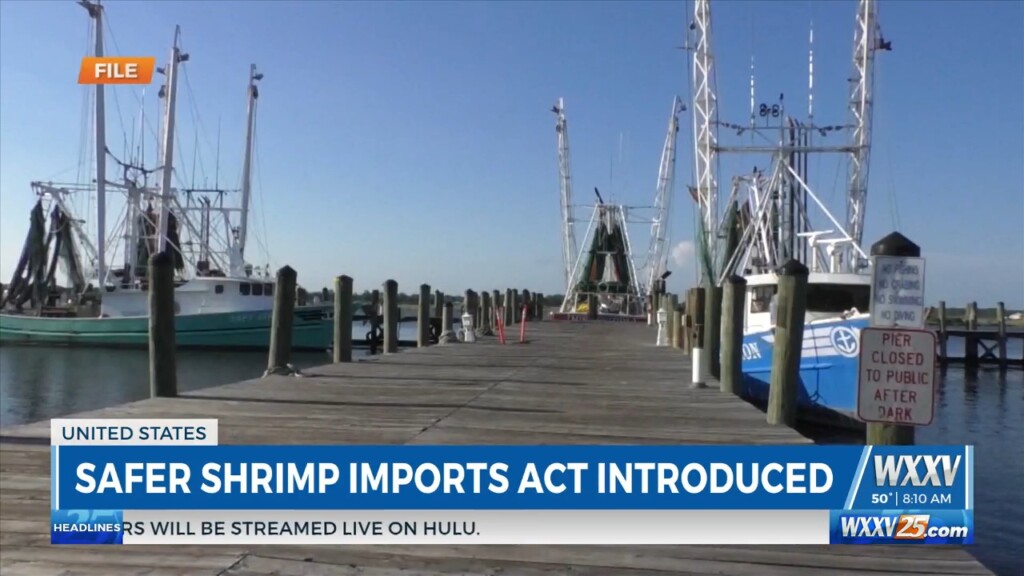 Senator Cindy Hyde Smith Introduces Safer Shrimp Imports Act