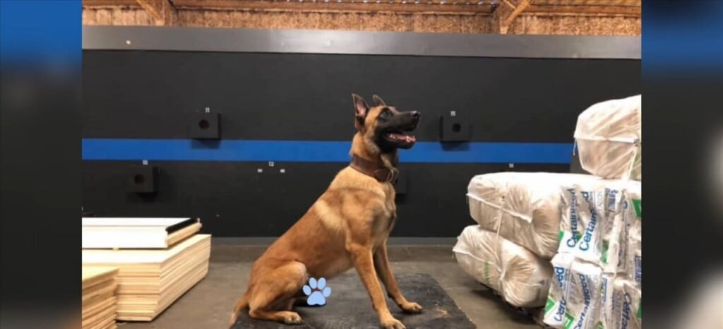 Harrison County K9 Zico Retires
