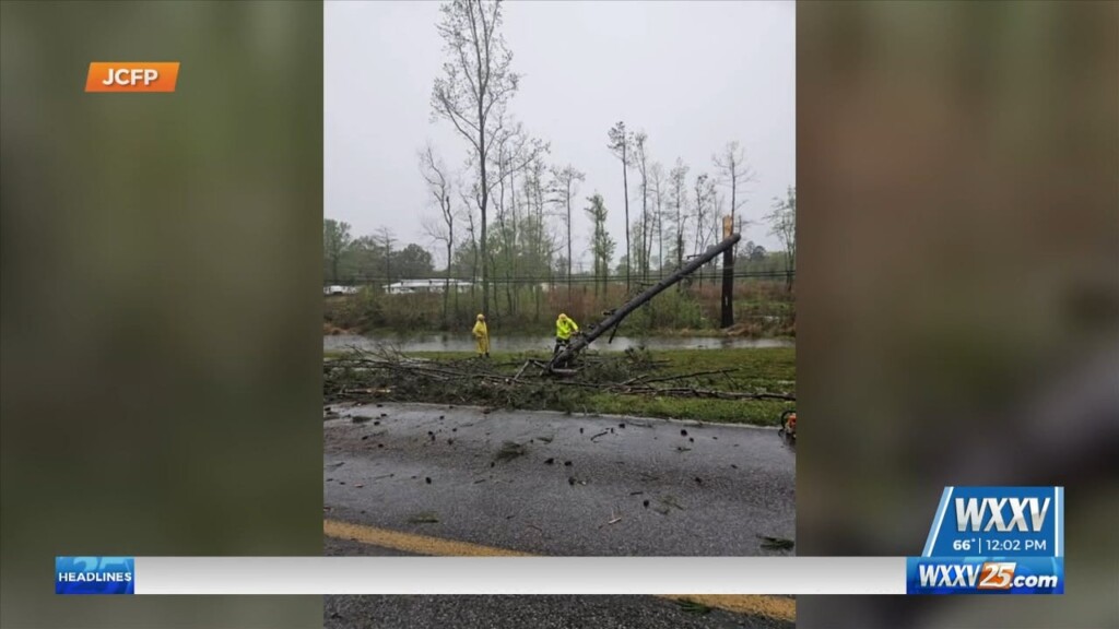 Crews Assist With Removing Tree From Power Lines In Jackson County