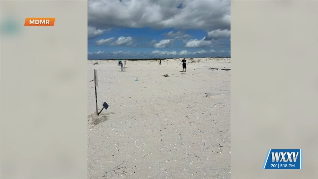 Marking Nesting Habitats On The Coast