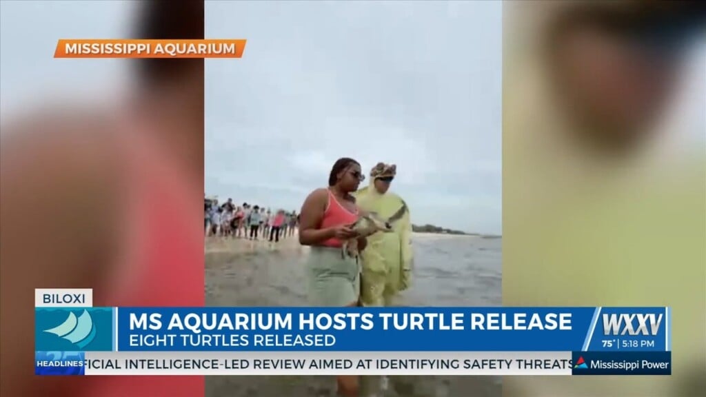 Mississippi Aquarium Hosted Turtle Release