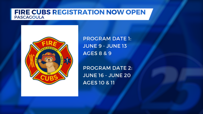 Fire Cub