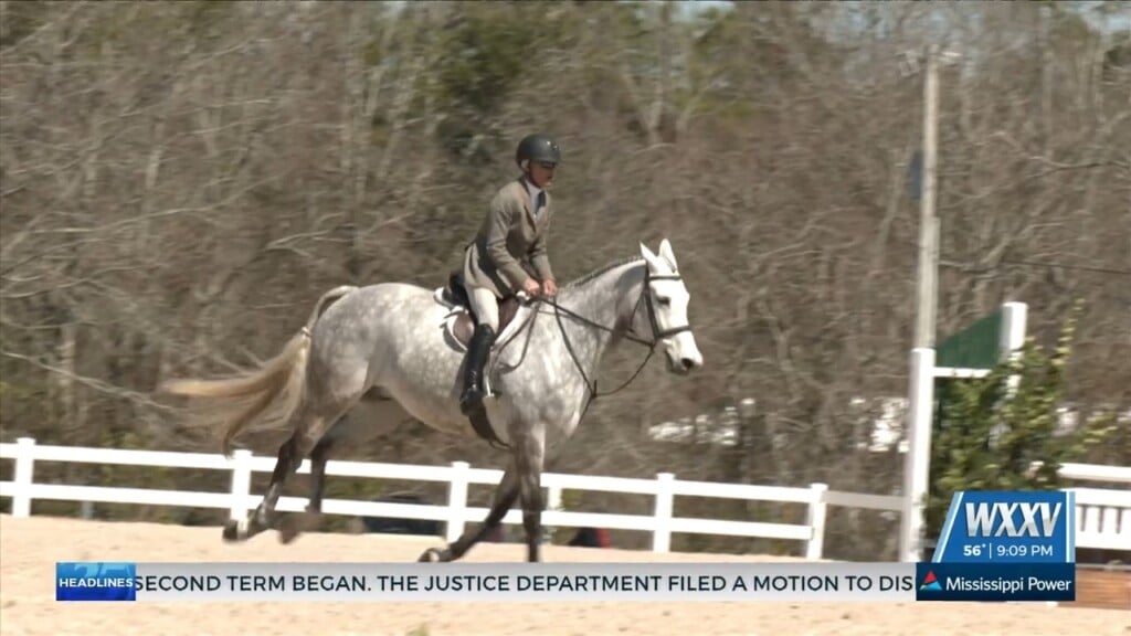 Equestrians Gather To Compete At The Gulf Coast Winter Classics