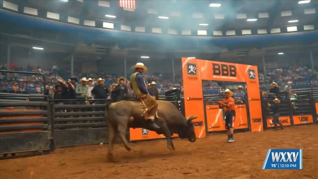 Bulls, Bands, And Barrels Comes To Hattiesburg