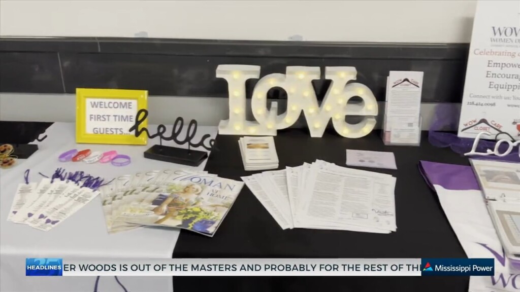 W.o.w. Hosts A Luncheon For Women