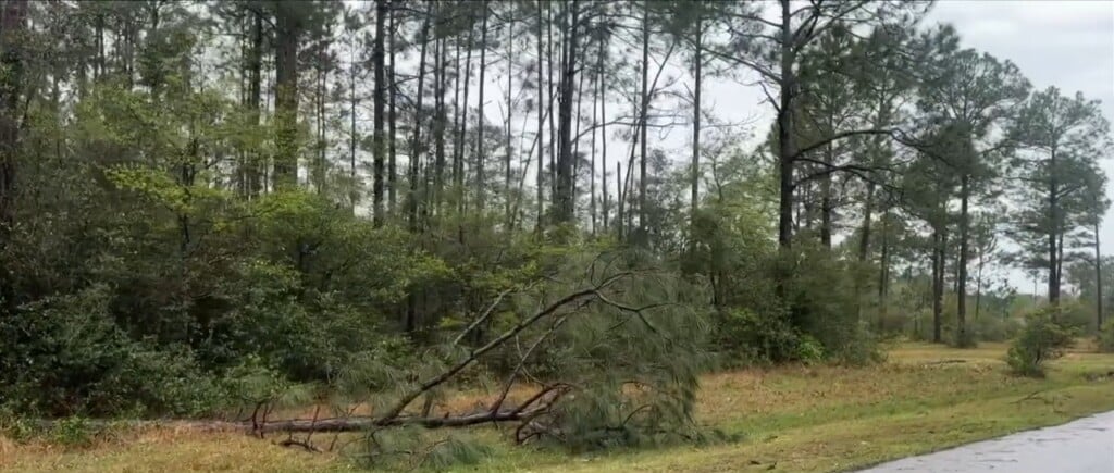 Storm Damage In Jackson County