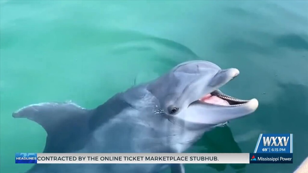 Mississippi Aquarium Offering Internship Opportunities