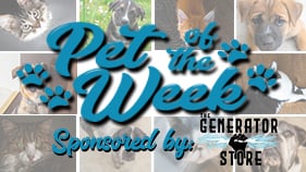 Petoftheweekfc