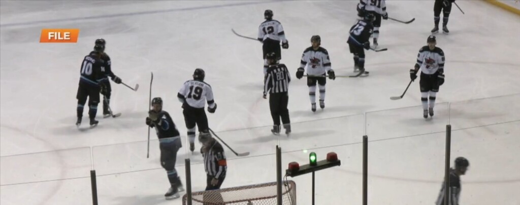 Mississippi Pro Hockey Needs A Name