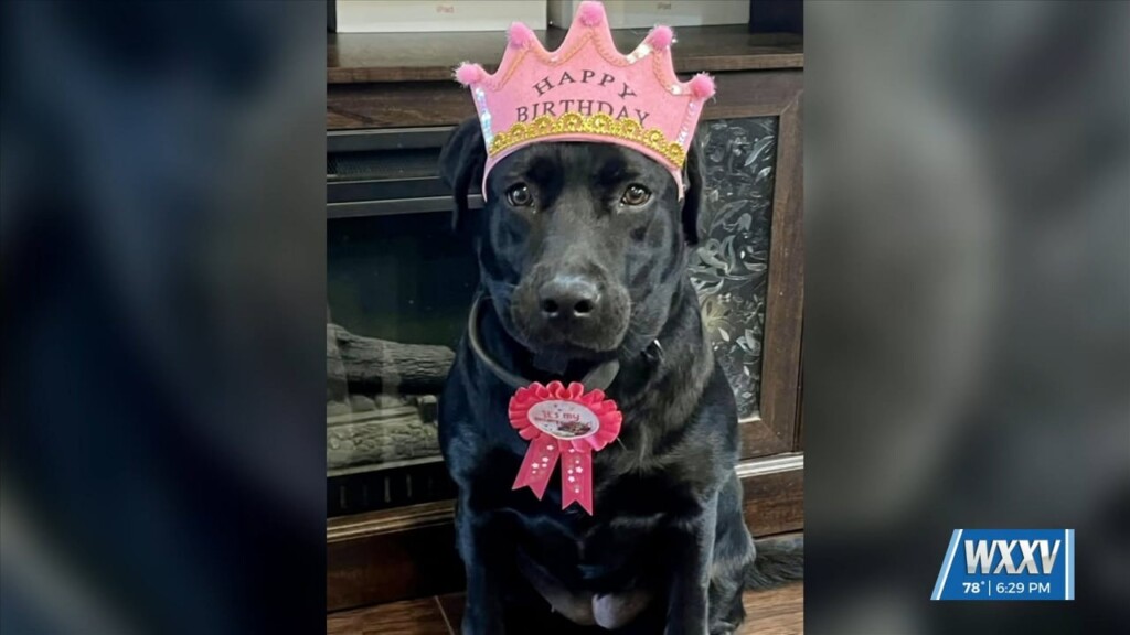 K9 Rae Celebrates Her Birthday