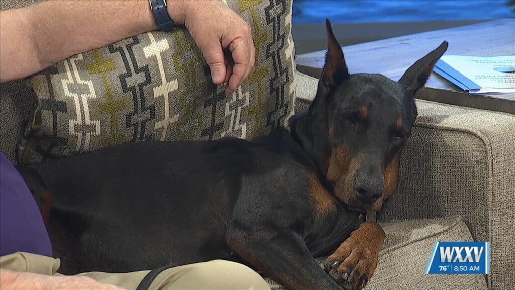 Bark’n Good Time At The Harrison County Fair Grounds