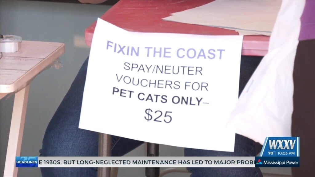 Spay/neuter Vouchers For Harrison County Residents