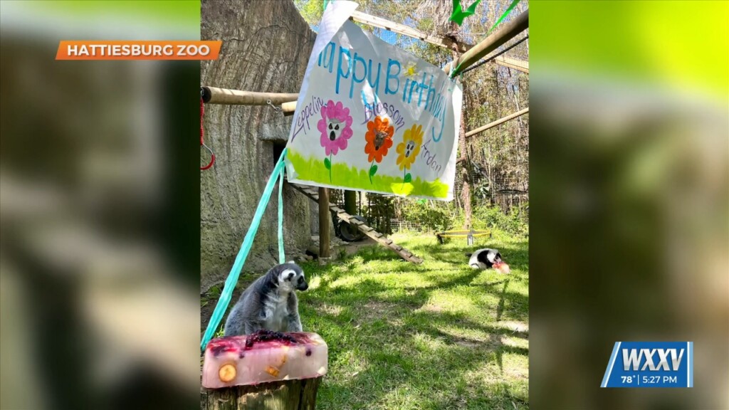 Hattiesburg Zoo Celebrates Three Birthdays For Animals