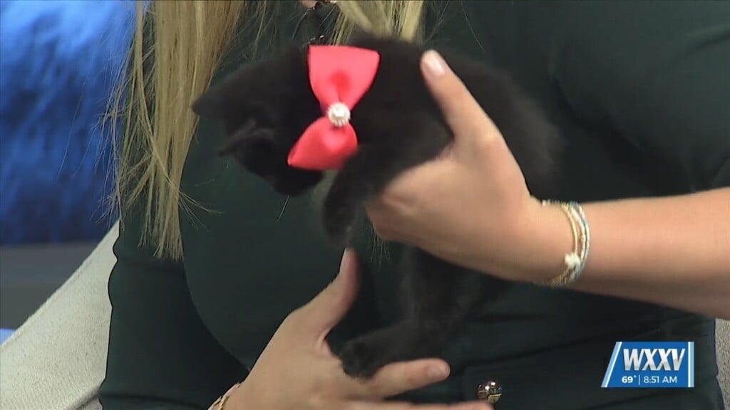Pet Of The Week: Flo And Kentucky Are Looking For Forever Homes!