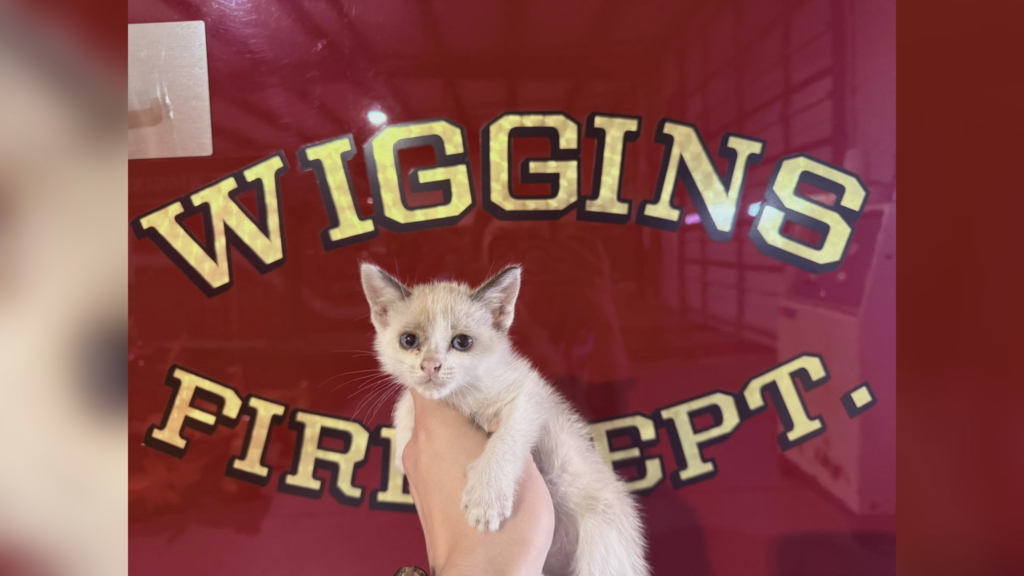 Wiggins